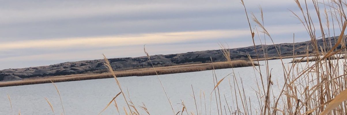 Jacka172's profile banner image