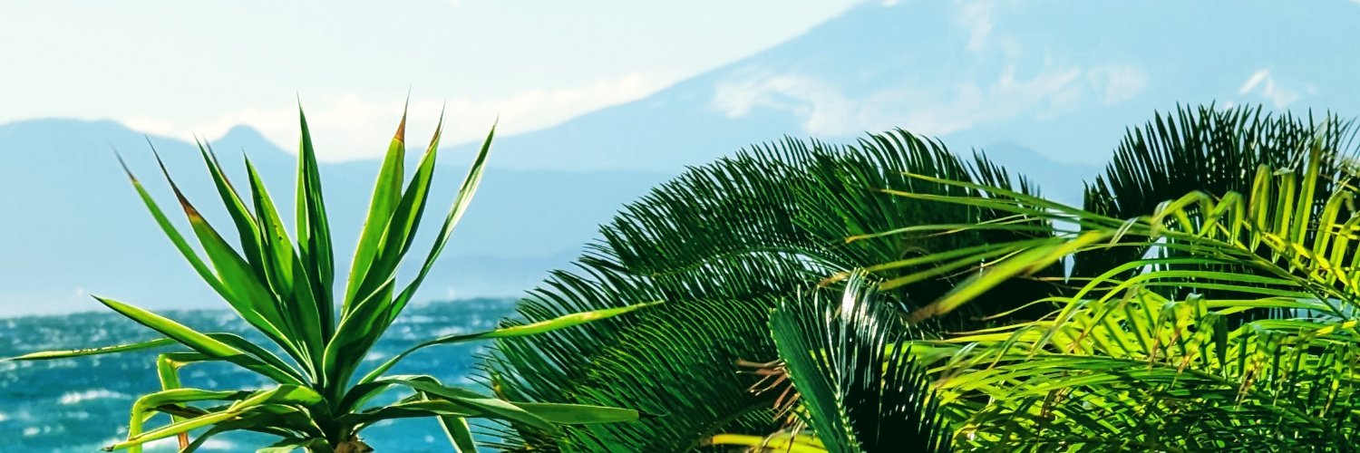kei_mitchell's profile banner image