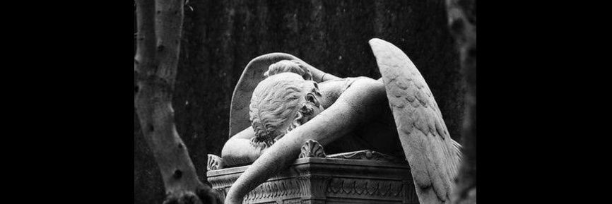 Cidoska's profile banner image
