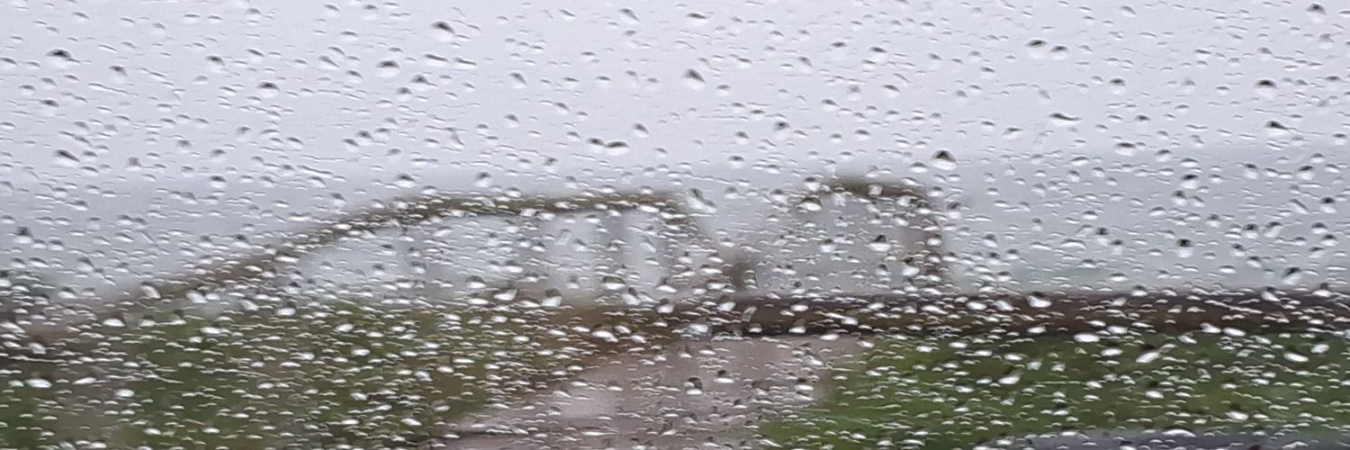 pollo maggi galinha mágica banner