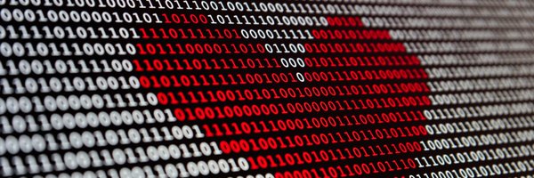 voydorg_en Profile Banner