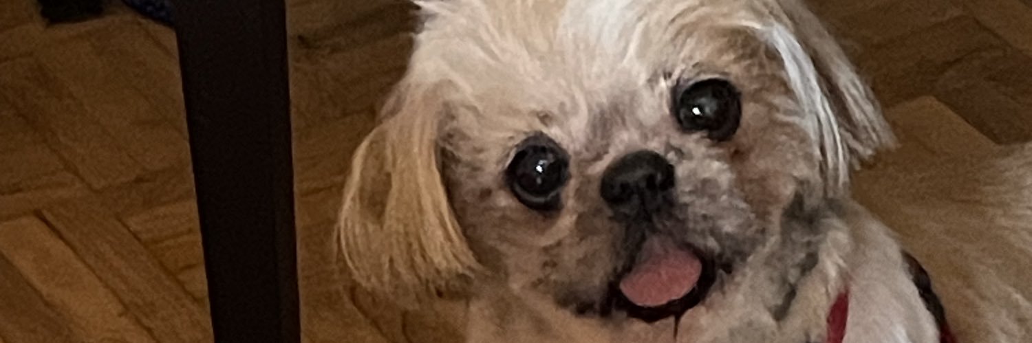 Esther María banner