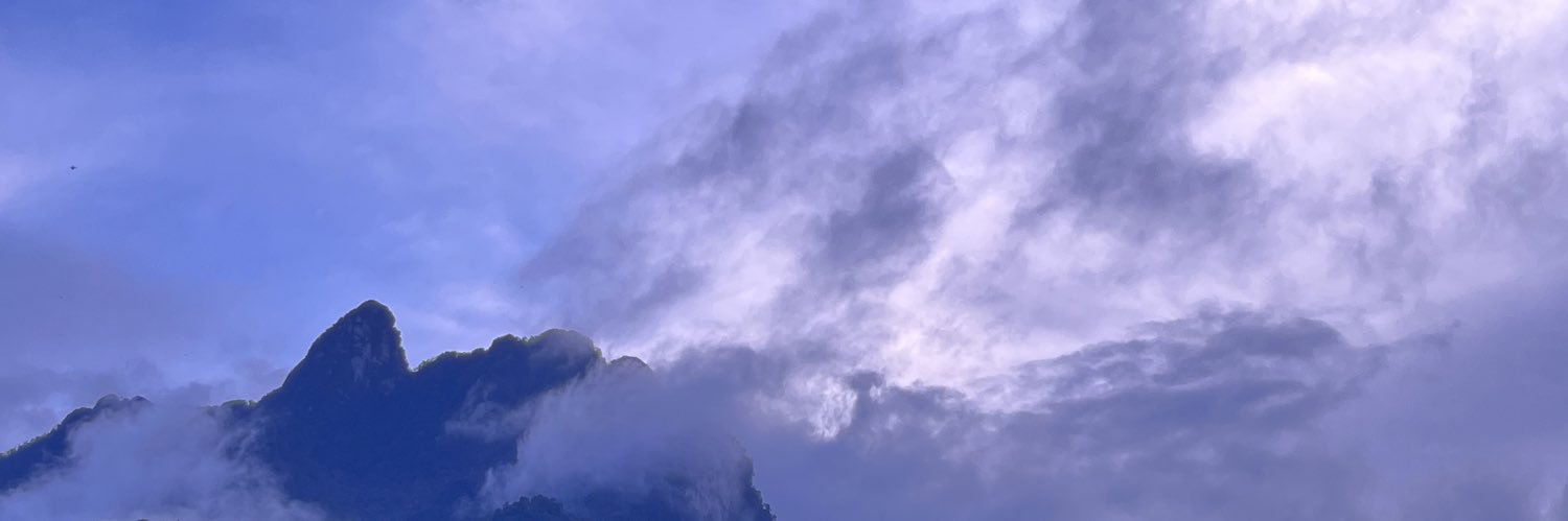Aliciasrules's profile banner image