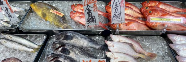 seigen_e Profile Banner