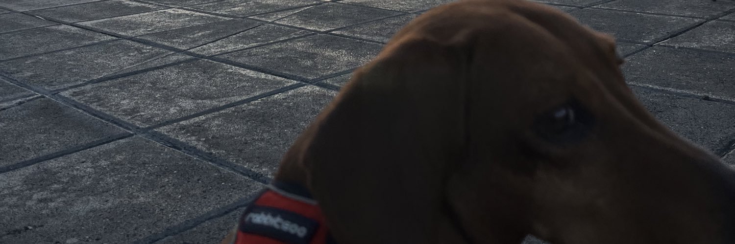 fran1311x's profile banner image