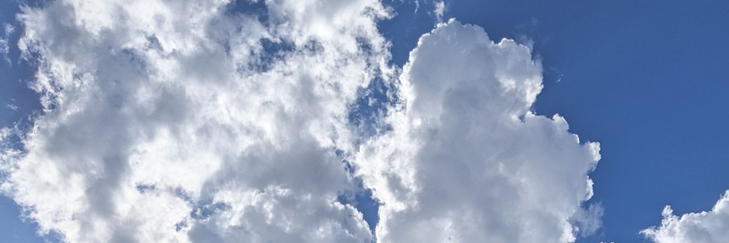 marikonette's profile banner image