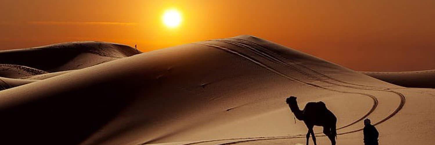 avsarhatice6's profile banner image