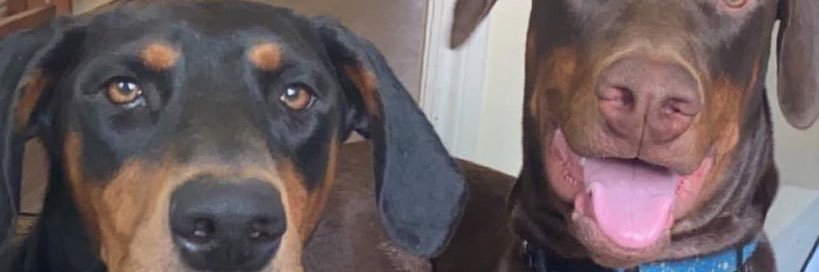 ItsFnCey's profile banner image