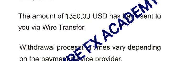 BITCOIN CHIEF PRIEST banner