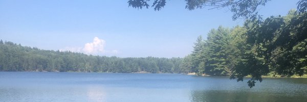 tanyavforvt Profile Banner