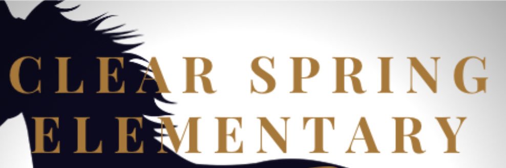 CSES 4th Grade Team banner