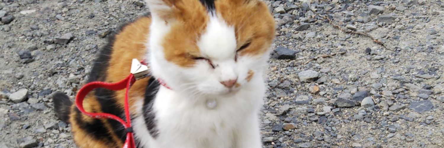 ｴﾙﾄﾞﾆｬﾝ@あさみね#ﾓﾌ鉄009 banner