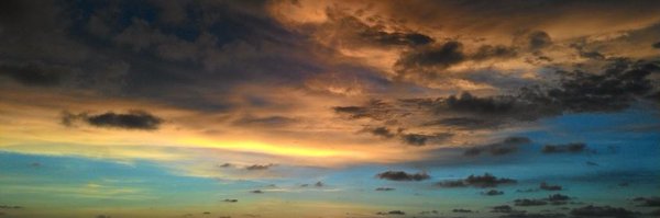 Amaliniii Profile Banner