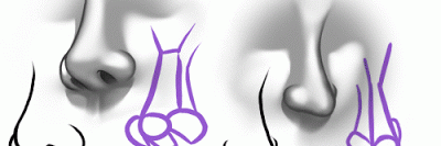 anarchybieber's profile banner image
