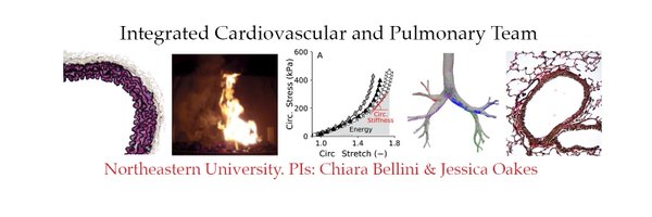 ICAPneu Profile Banner