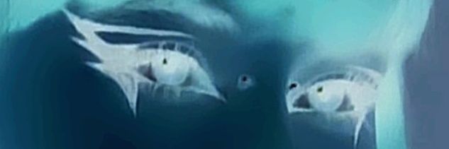 eliityson's profile banner image