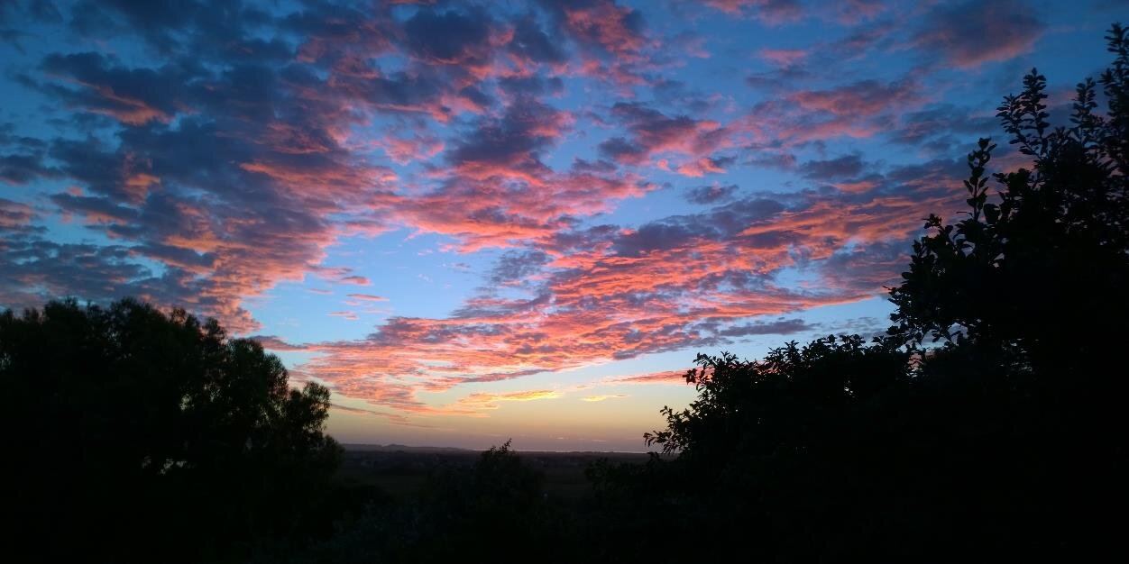 Edward Hilton banner