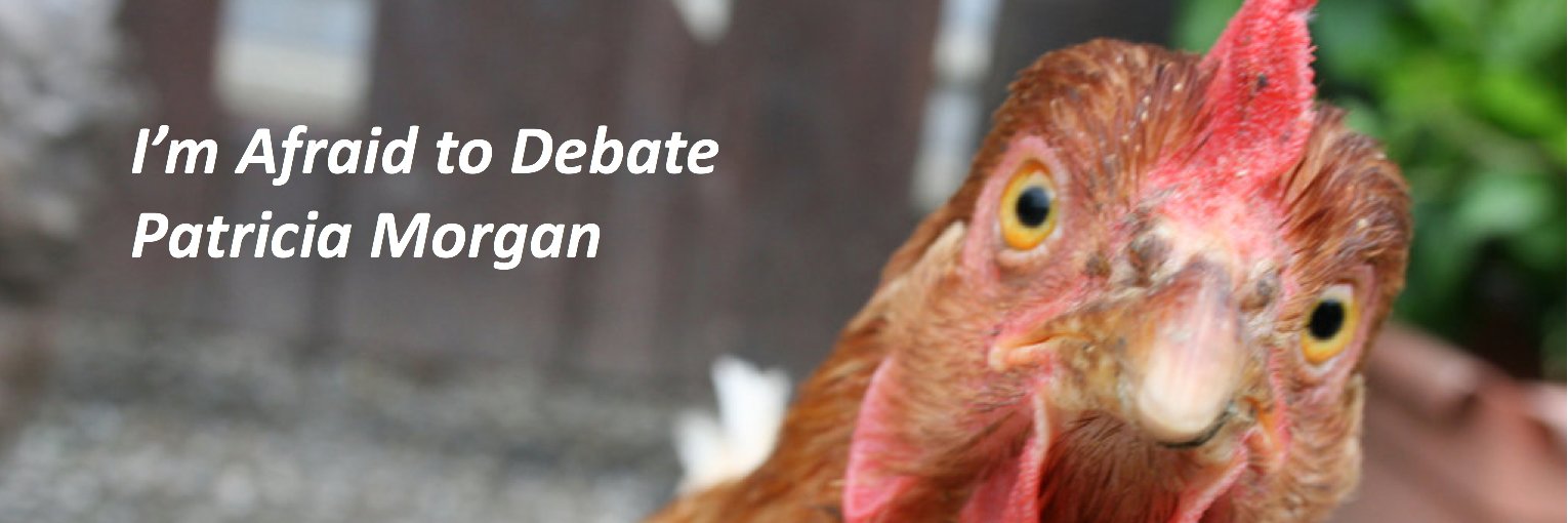 DebateChicken's profile banner image