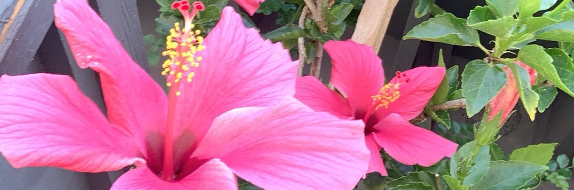 Knowurrworth's profile banner image