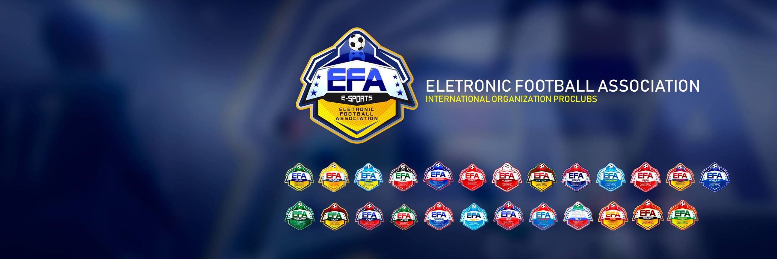 EfaEurope banner