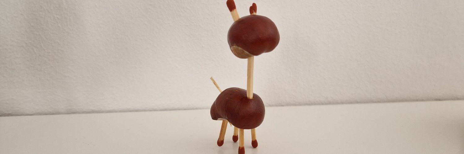 Rasmus Iversen banner