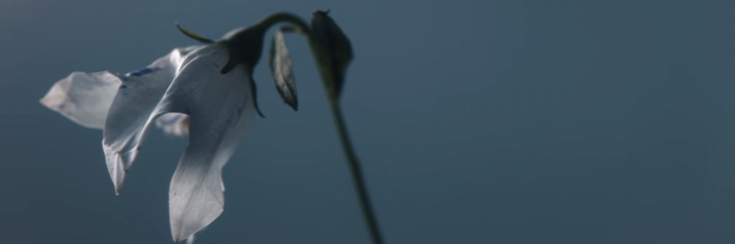 sinzyun's profile banner image
