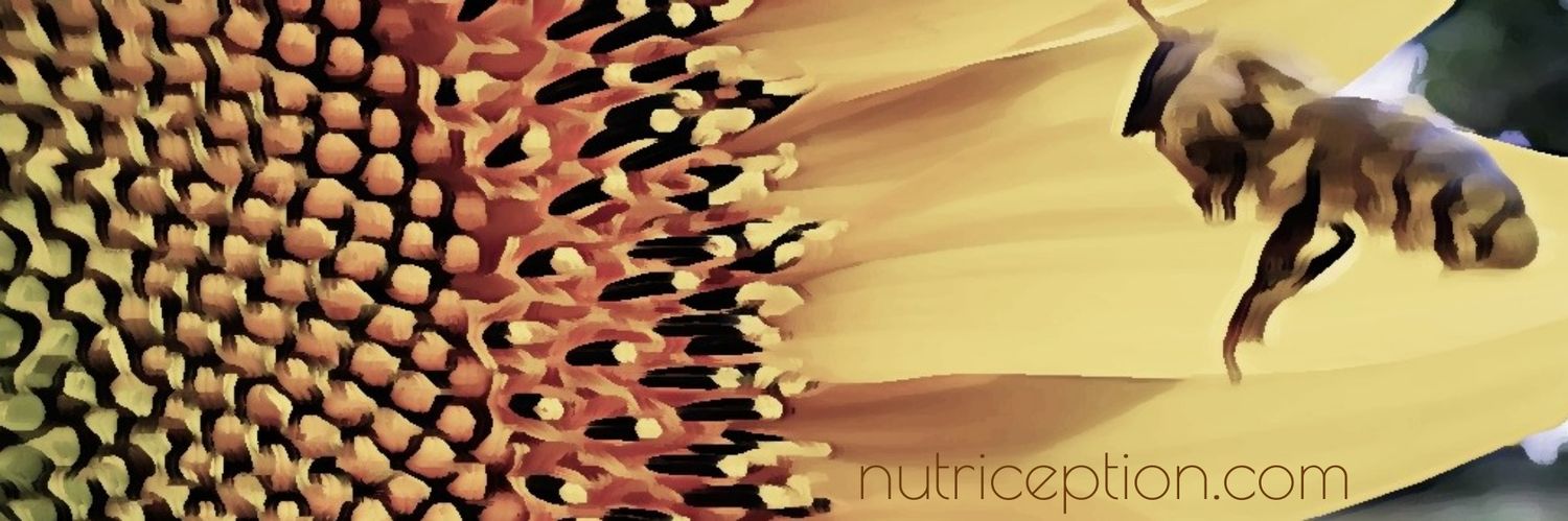 nutriception's profile banner image