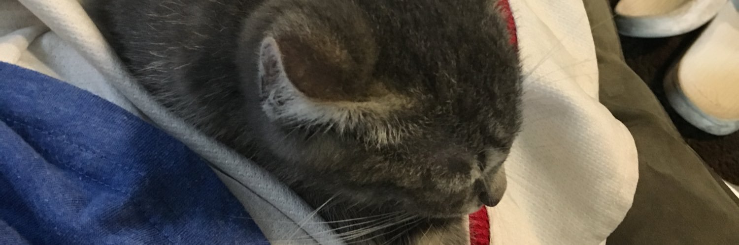 DrewFloyd's profile banner image