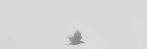 glowing_cloud's profile banner image