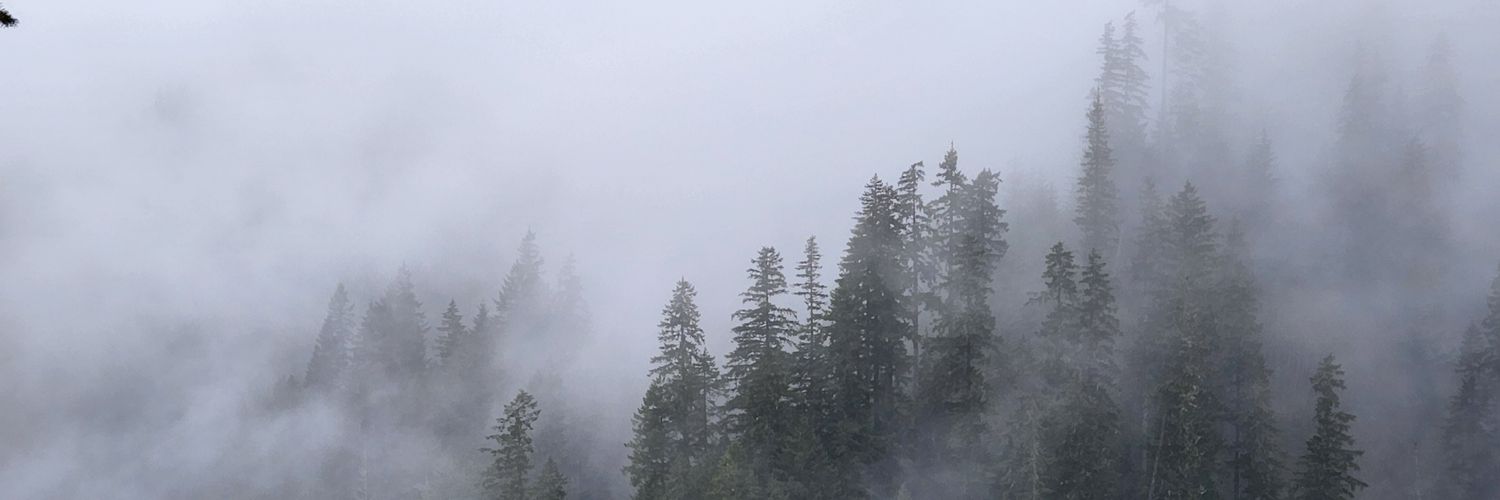 ChuckRasco's profile banner image