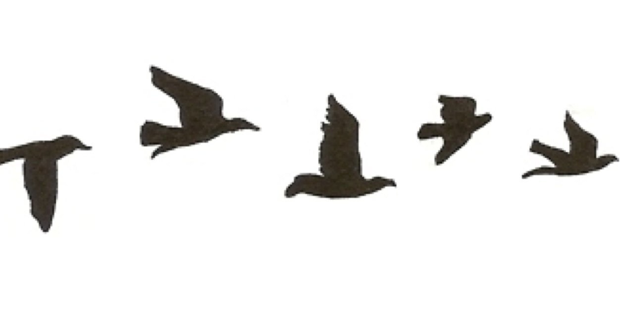 AtentaSilva's profile banner image