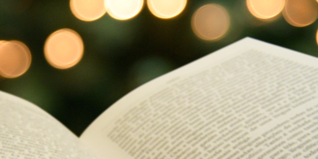 IberLibro.com banner