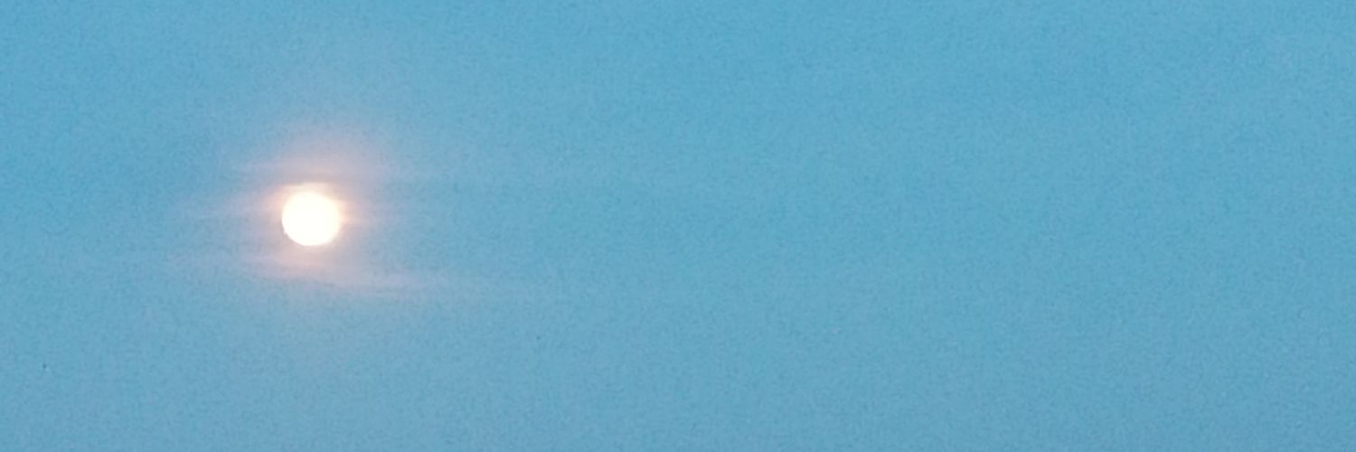 Mustafa Kinali banner