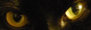 andrislogins's profile banner image
