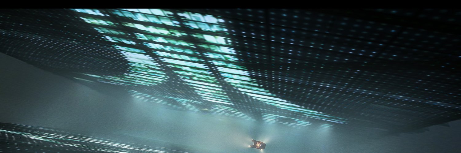 Leon banner
