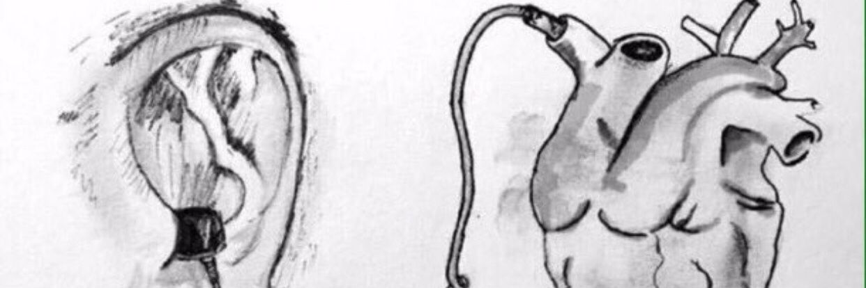 azfi16's profile banner image