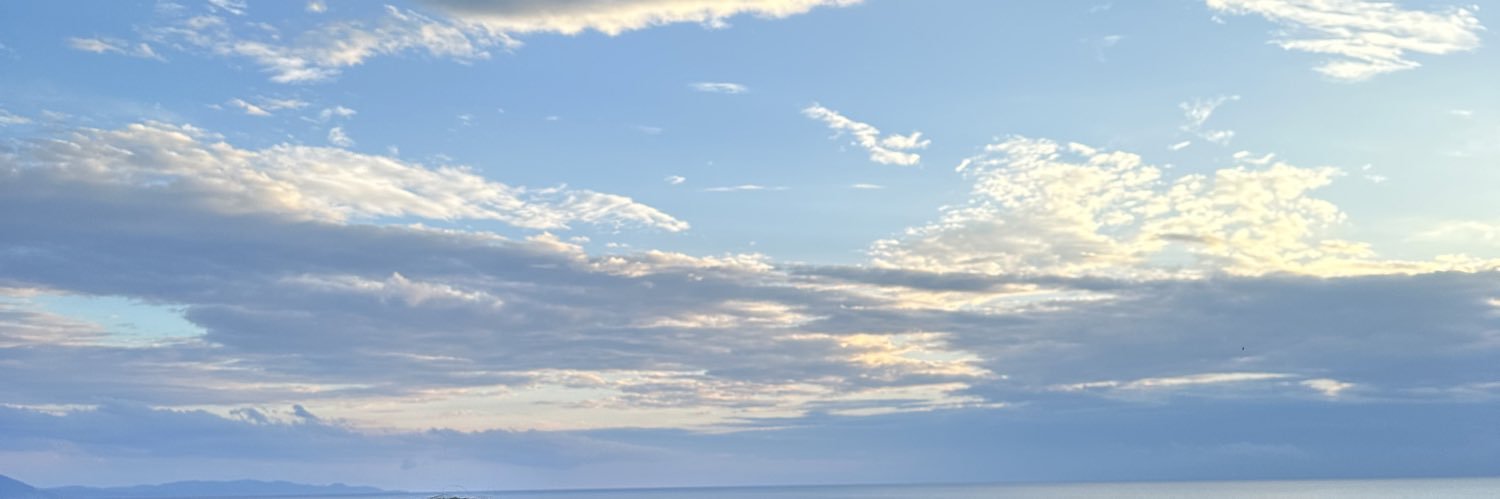 sedefgcl's profile banner image
