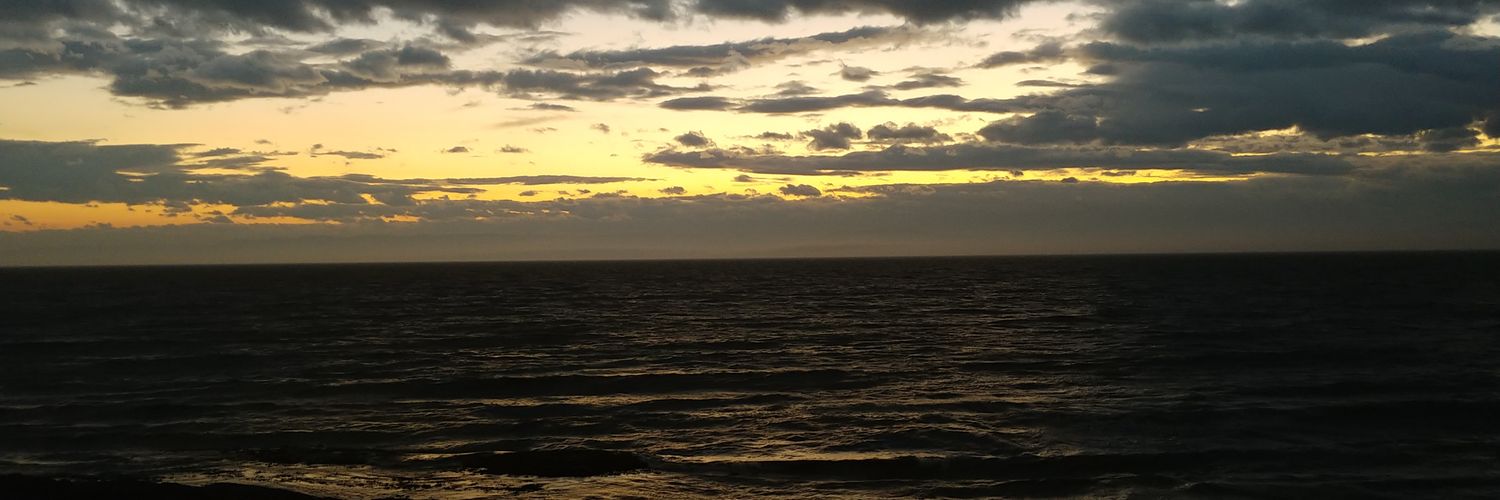 JamichelleP's profile banner image