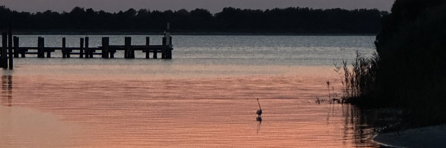 Anthony Imperiale banner