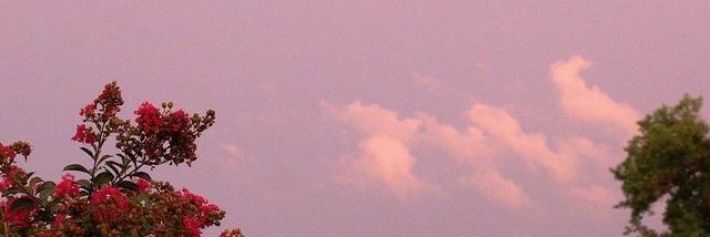 moni_ser's profile banner image