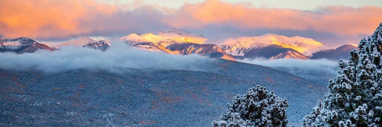 lwhiddon18's profile banner image