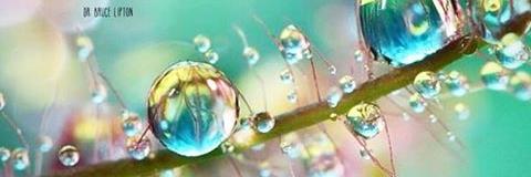 DowdRachel's profile banner image
