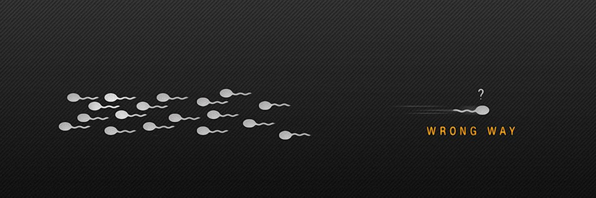 zealothalot's profile banner image
