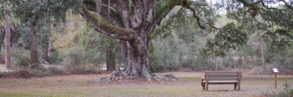 KimSlowey Profile Banner