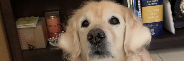 shevititan Profile Banner