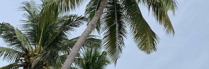 ¿ banner