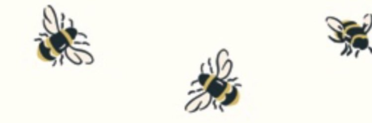 Suzyy_H's profile banner image
