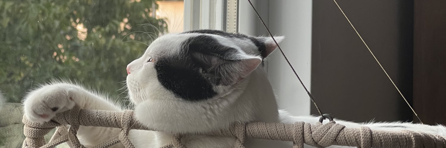 usluzeynep_'s profile banner image
