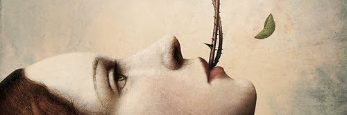 rosmarbritom's profile banner image