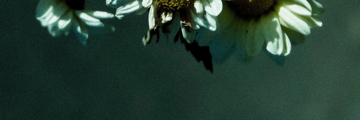 luiisalido's profile banner image